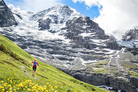 Where to see the Alps Glaciers - ALPSinsight