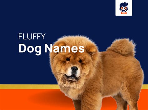 1350+ Fluffy Dog Names That Capture The Serenity Of Fluff!