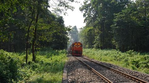 Jalpaiguri Photos, Pictures of Famous Tourist Places and Attractions-NativePlanet