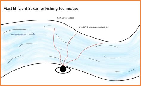 Streamer Fishing Tactics | The Fly Fishing Basics