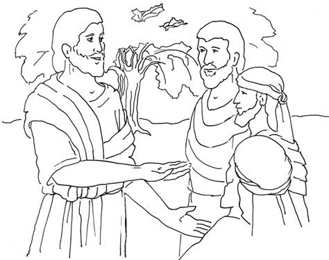 Parable Mustard Seed Coloring Page | Sermons4Kids