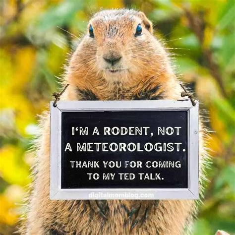 Hilarious Groundhog Day Memes To Get You Through 6 More Weeks Of Winter