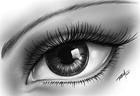 Sketch Easy Drawing Ideas Eyes