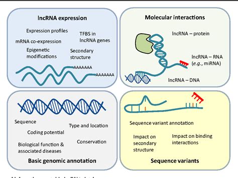 Figure 1 from Long non-coding RNA Databases in Cardiovascular Research | Semantic Scholar