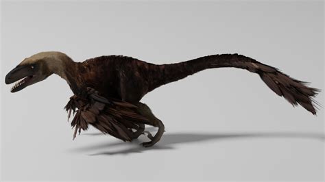 Utahraptor with particle feathers : r/blender