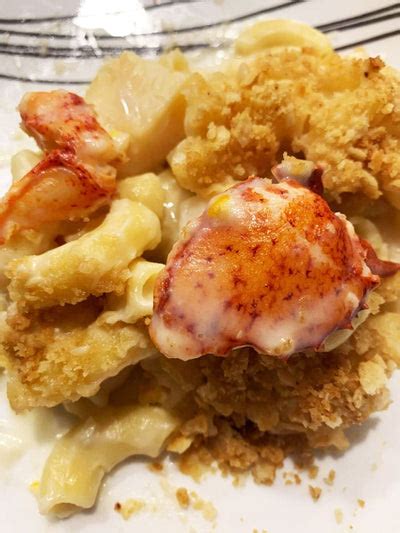 Maine Lobster Mac & Cheese Recipe – SoPo Seafood