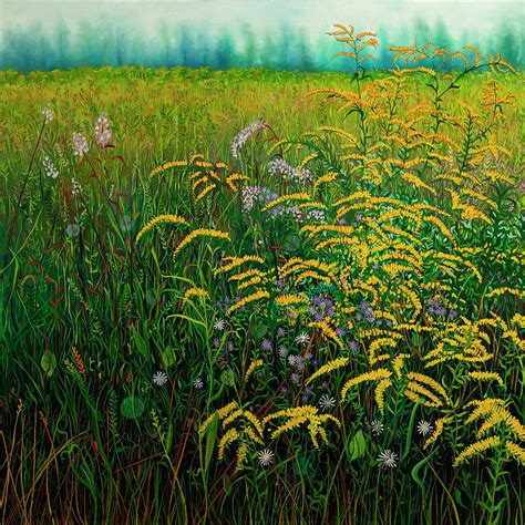 Goldenrod Field Painting by Margaret Shipman - Fine Art America