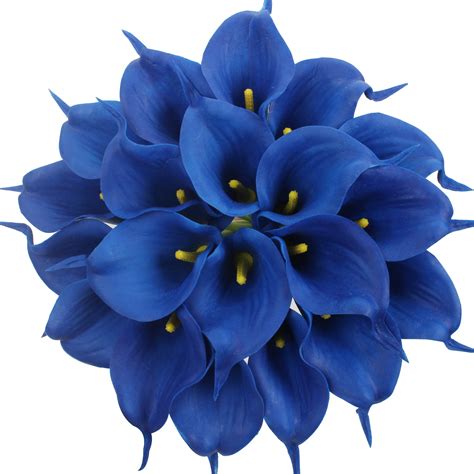 Natural Navy Blue Flowers : Unique Gifts for Women : 40 png with transparent background ...