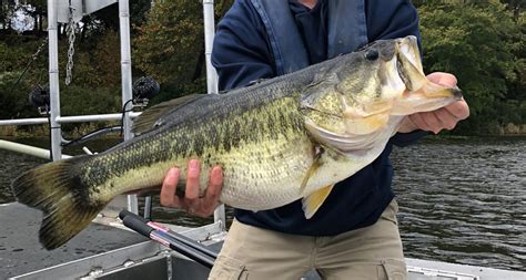 World Record Largemouth [2022] Biggest Bass Ever Caught