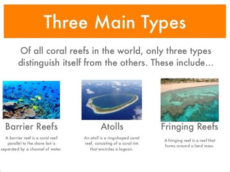 2.2 Reef Structure - TL PhD Comprehensive Exam