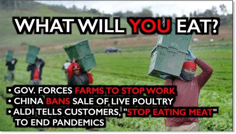 Ice Age Farmer Report: UNBELIEVABLE: Gov. forces farms to shut down - Food shortages imminent ...