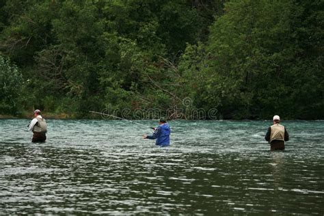 Black Bear in Alaska. Russian River in Alaska. Stock Photo - Image of animals, river: 148165468