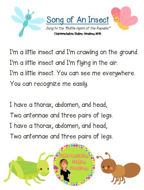 First Class Insect Songs Preschool Opposites Theme