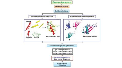 De Novo Protein Design with Computational Simulation - Creative BioMart