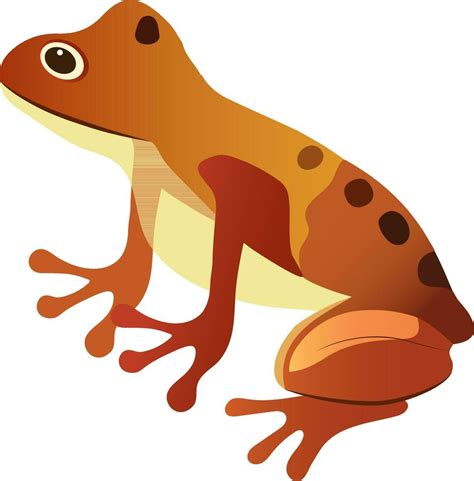 Isolated Poisonous Frog Icon In Orange Color. 24556748 Vector Art at ...