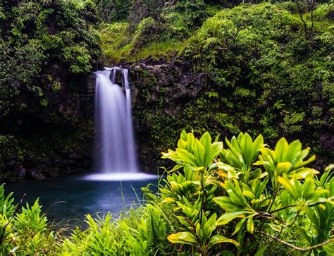 Waterfalls Along the Road to Hana