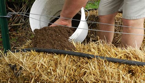 Why Straw Bale Gardening? - Straw Bale Gardens