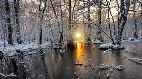 nature, Landscape, Cold, Winter, Sunrise, Snow, Forest, Frost, Sunlight ...