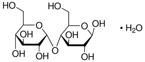 SIGMA-ALDRICH Maltose Monohydrate, CA 6363-53-7 - 45ZF15|M9171-100G - Grainger