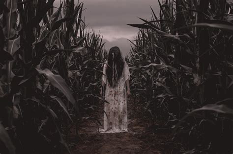 2020 Haunted Corn Maze Tickets in Temple, TX, United States