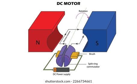 Dc Electric Motor Diagram Labeled Parts Stock Vector (Royalty Free ...