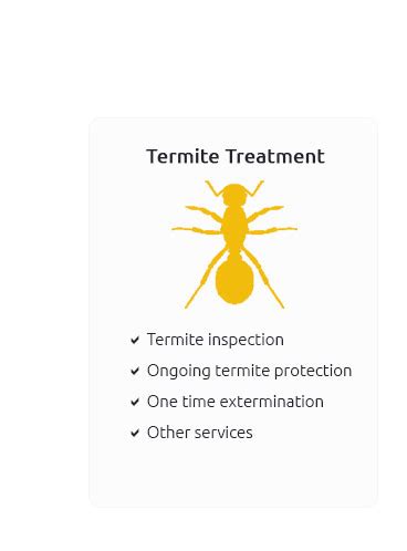 Bat Removal Near Me 🛑 Dec 2024