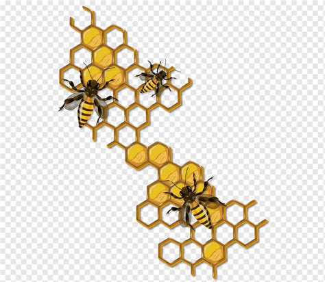 Honey bee Beehive Drawing Maya, bee, honey Bee, insects, flower png | PNGWing