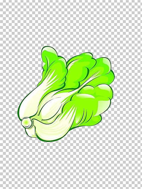 Napa Cabbage Cartoon Vegetable PNG, Clipart, Cabbage, Cabbage Cartoon, Cabbage Leaves, Cartoon ...