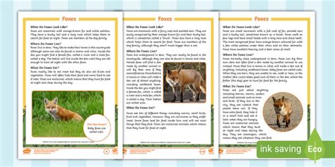 KS1 Fox Information Fact File - Differentiated Resources