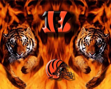 Cincinnati Bengals Wallpapers - Wallpaper Cave