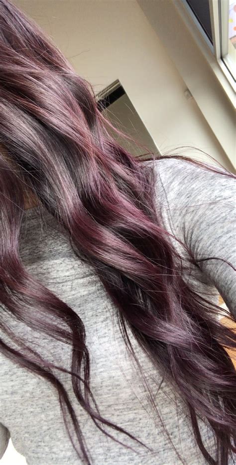 Purple Plum Hair | Plum hair, Dark purple hair, Hair color plum