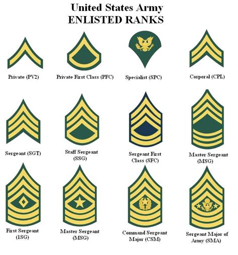 Famous Us Military Ranks Lowest To Highest 2022