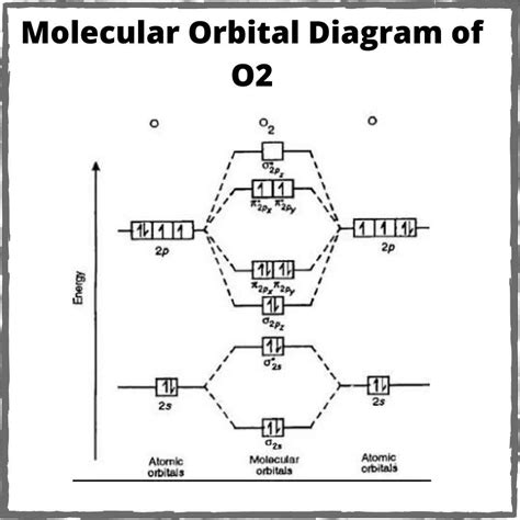 Molecular Orbital Diagram Of Oxygen Molecule Explain The For