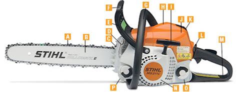Chainsaw Anatomy or Parts of a Chainsaw Diagram | Quizlet