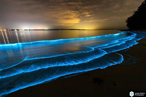 Best Time Of Year To See Bioluminescence In Maldives What Is The Best Time Of The Year To See ...