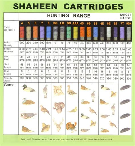 12 Gauge Buckshot Size Chart