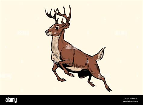 Deer Jumping Drawing