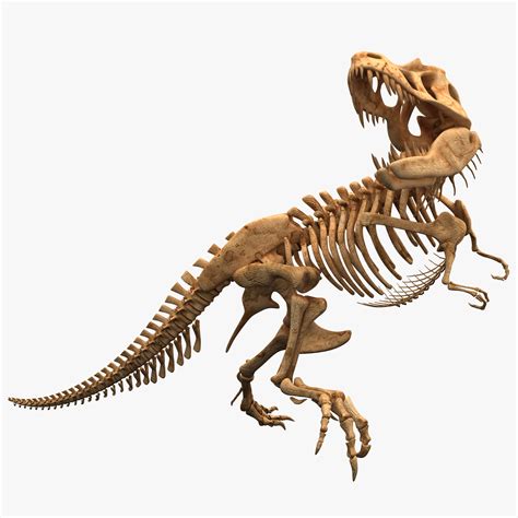 dinosaur t rex bones skeleton lwo