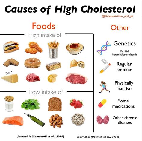 High Cholesterol Foods - Daley Nutrition - Community Team