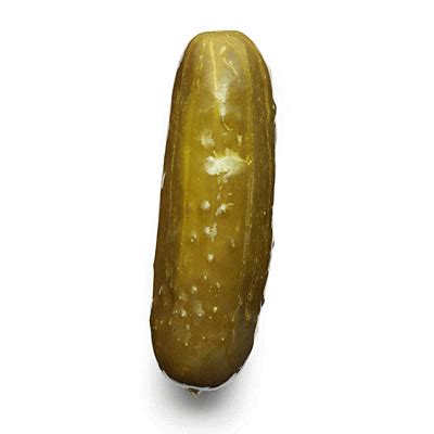 Pickle GIFs - Find & Share on GIPHY