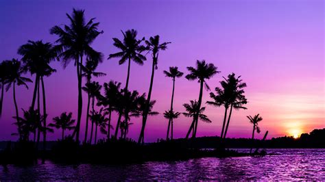 4k Purple Sunset Wallpapers - Wallpaper Cave