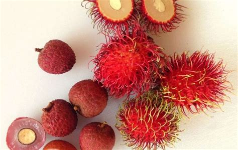 Rambutan vs Lychee - Similarities and Differences In These Cousin Fruits