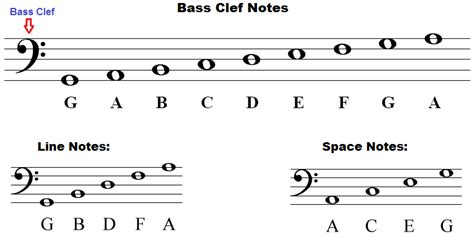 Reading the Notes on the Bass Clef | MaryO'Studio