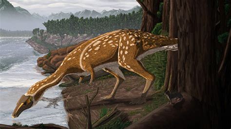 Palaeontologists Discover Rare Dinosaur Fossils In Australia - Science