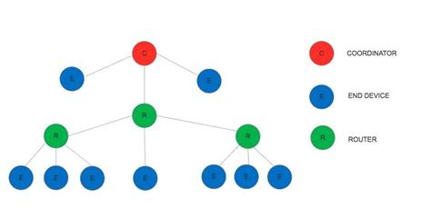 Tree topology example | Download Scientific Diagram