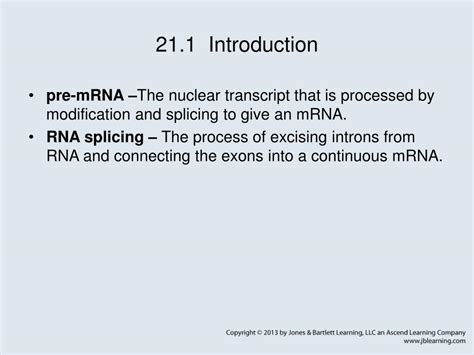 PPT - Chapter 21 RNA Splicing and Processing PowerPoint Presentation, free download - ID:5572206