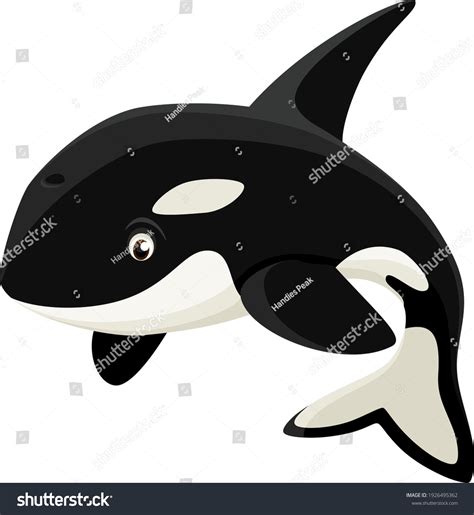 4,335 imágenes de Orca cartoon - Imágenes, fotos y vectores de stock | Shutterstock