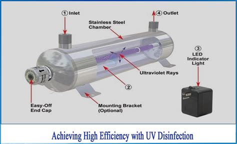 How Does Uv Light Disinfection Water | Shelly Lighting