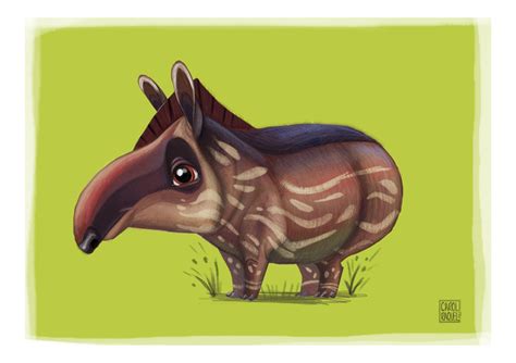 Baby Tapir by CarolineRaquel on DeviantArt