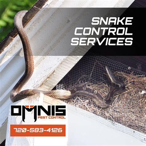 Snake Control Services - Snake Removal - OMNIS Pest Control